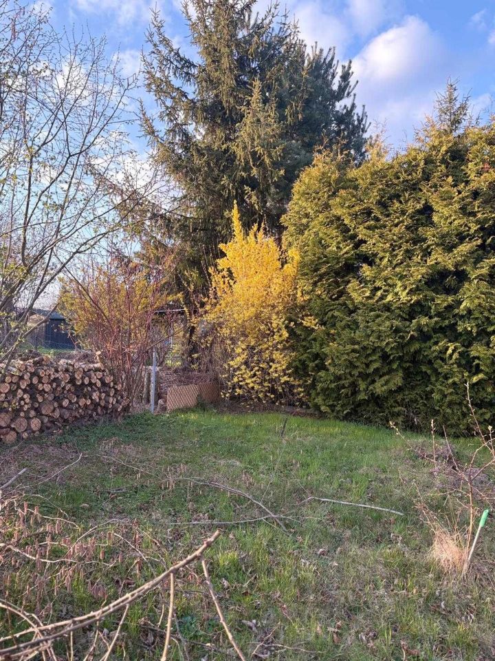 Działka rod Trzebnica. Zdjęcie 7