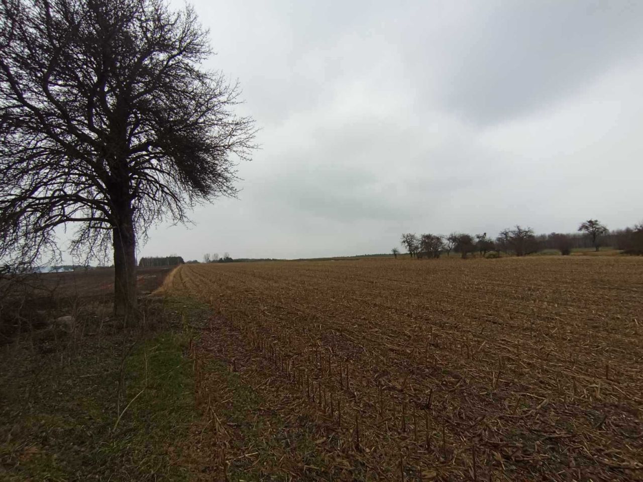 Działka rolna Stary Ciepielów. Zdjęcie 7