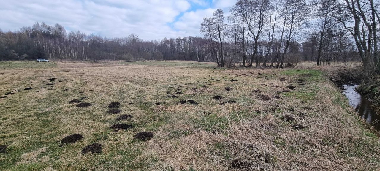 Działka rolna Bobrowniki. Zdjęcie 5