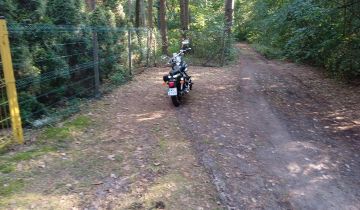 Działka rekreacyjna Sikory