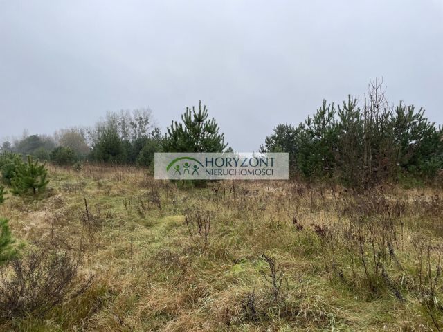 Działka budowlana Bojano. Zdjęcie 3