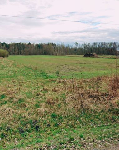 Działka budowlana Kolonia Pożdżenice. Zdjęcie 1