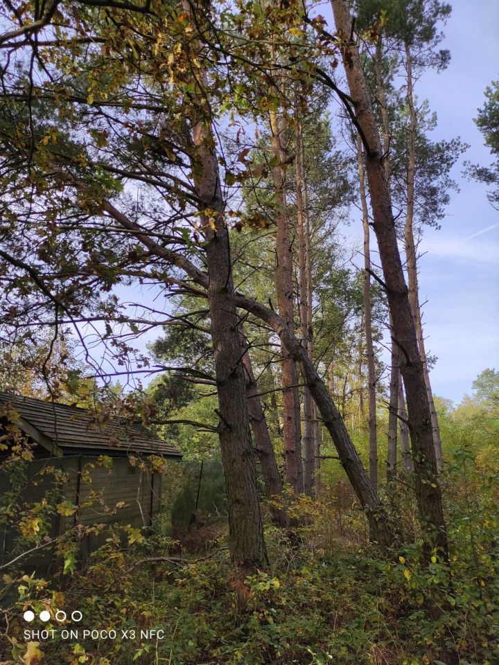 Działka budowlana Mariampol. Zdjęcie 3