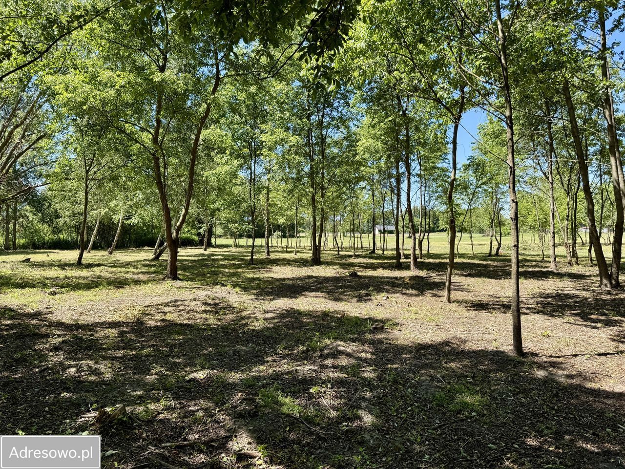 Działka budowlana Antoninów. Zdjęcie 13