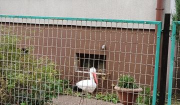 bliźniak, 3 pokoje Kłodawa, ul. Harcerska