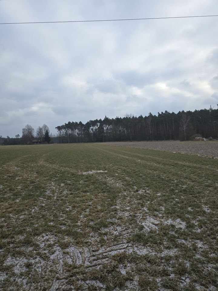 Działka rolna Pieczyska. Zdjęcie 7