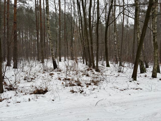 Działka budowlana Sokolniki, Lawendowa/Literacka. Zdjęcie 3