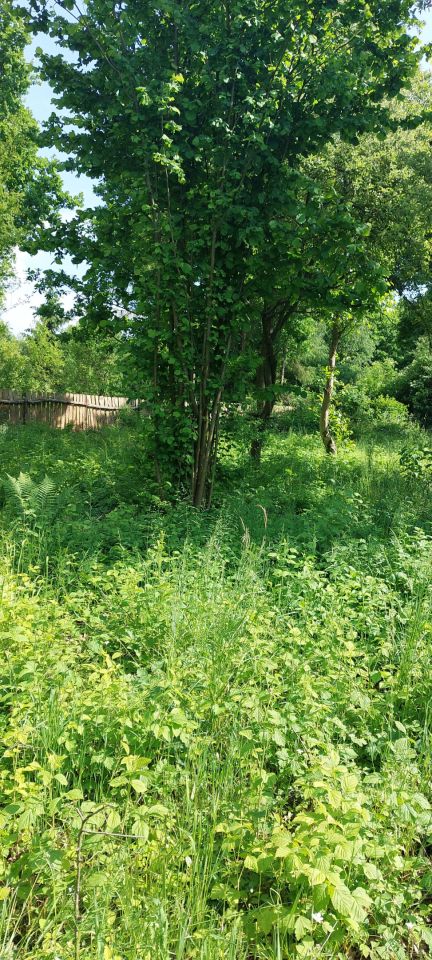 Działka budowlana Radom Krychnowice, Ludwinowska24. Zdjęcie 4