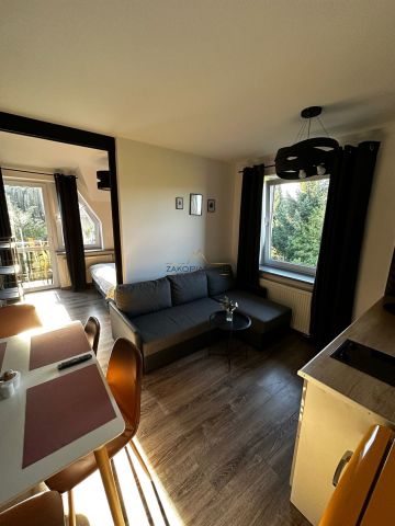 Mieszkanie 1-pokojowe Zakopane Oberconiówka. Zdjęcie 7