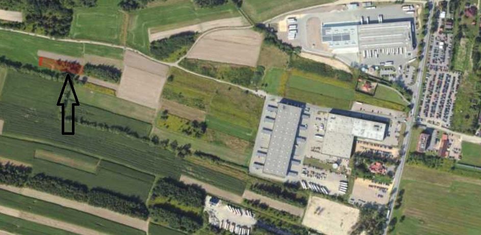 Działka inwestycyjna Cholerzyn Bory Cholerzyńskie. Zdjęcie 5