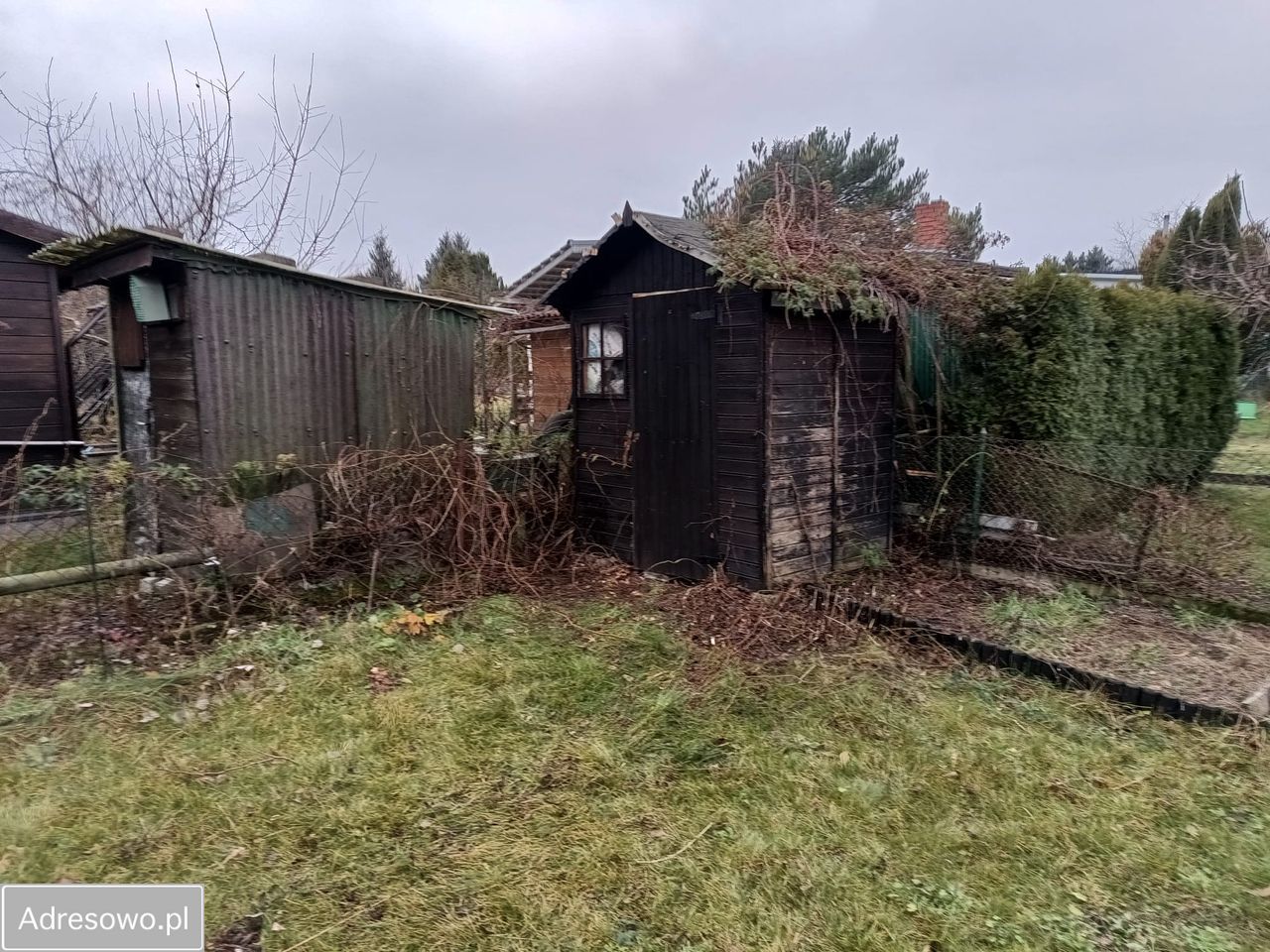 Działka rod Koninko. Zdjęcie 3