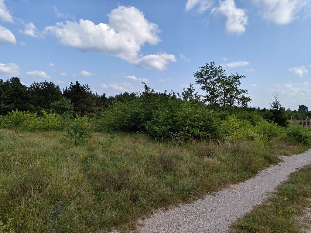 Działka budowlana Dalny Las. Zdjęcie 8