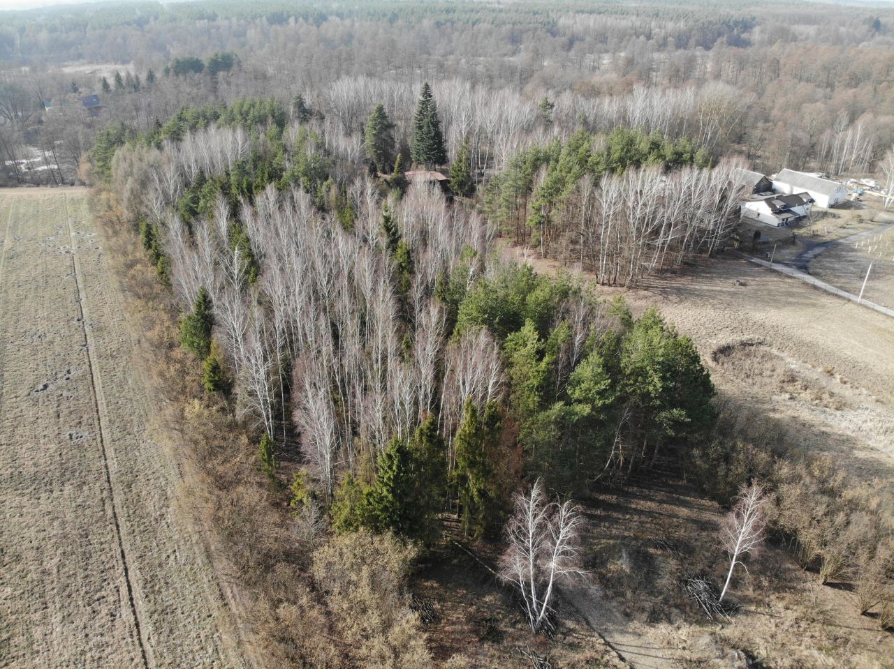 Działka budowlana Nowy Prażmów, ul. Główna. Zdjęcie 2