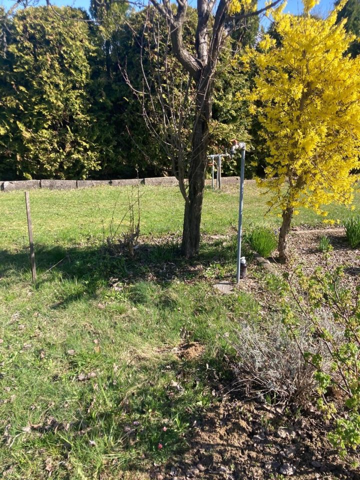 Działka rod Świdnik. Zdjęcie 3