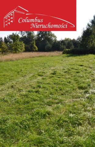 Działka budowlana Luszowice