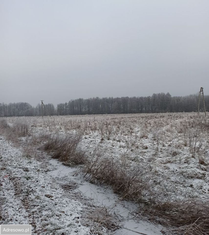 Działka rolna Żuków. Zdjęcie 8