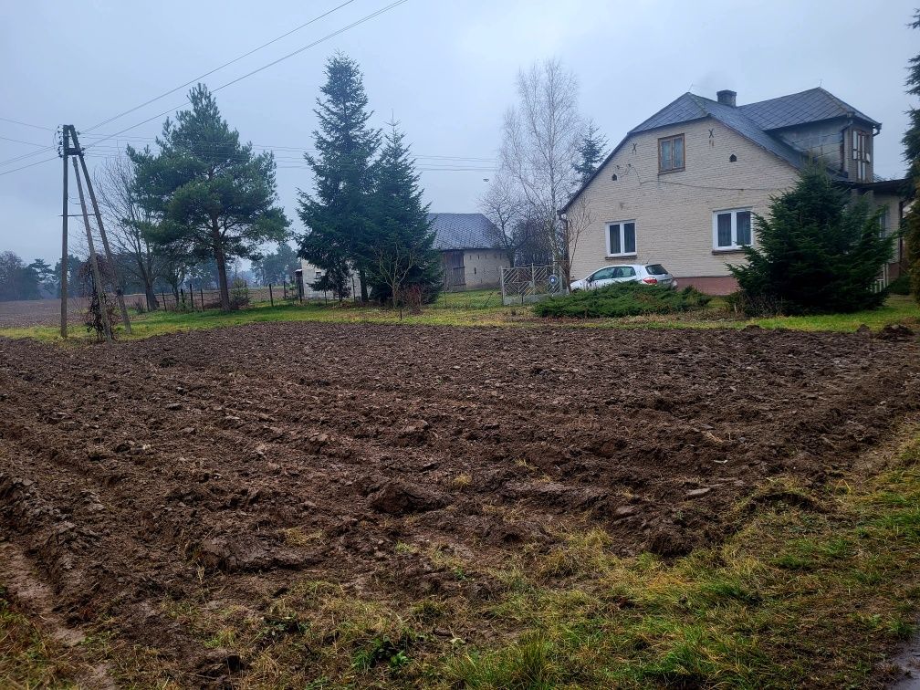 siedlisko Struża-Kolonia. Zdjęcie 2