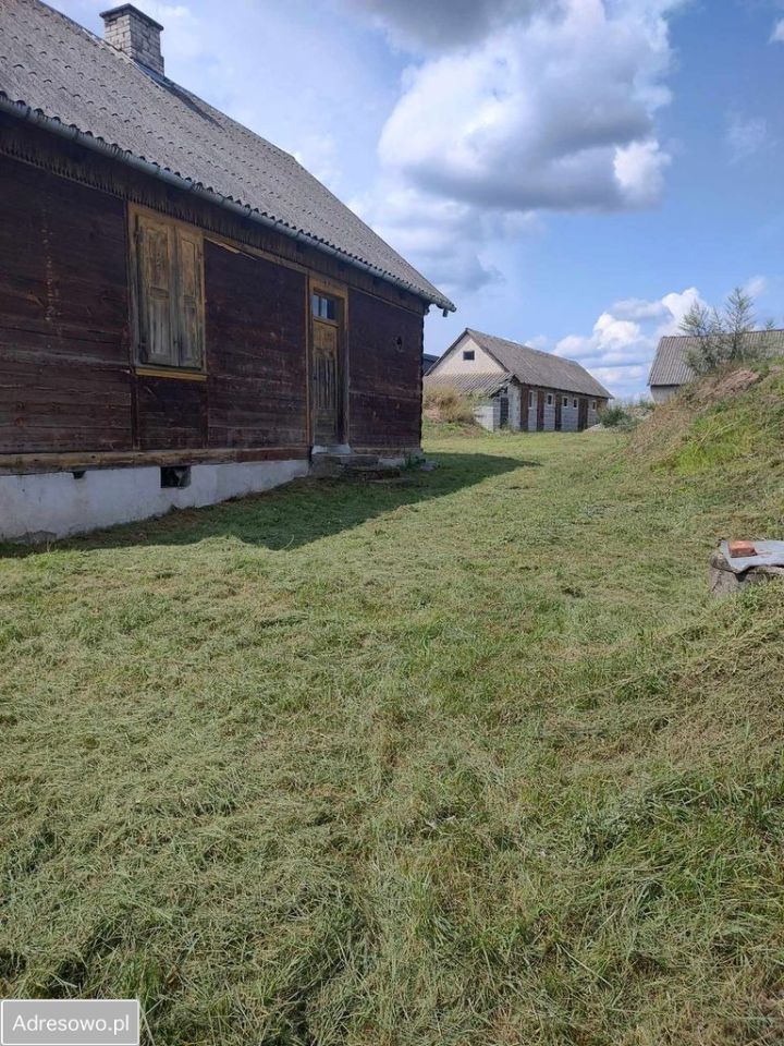 gospodarstwo Przyjmy. Zdjęcie 7