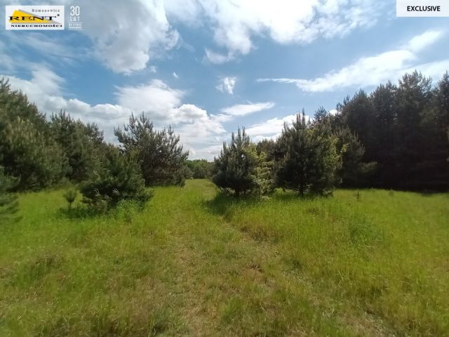 Działka rolna Binowo. Zdjęcie 9