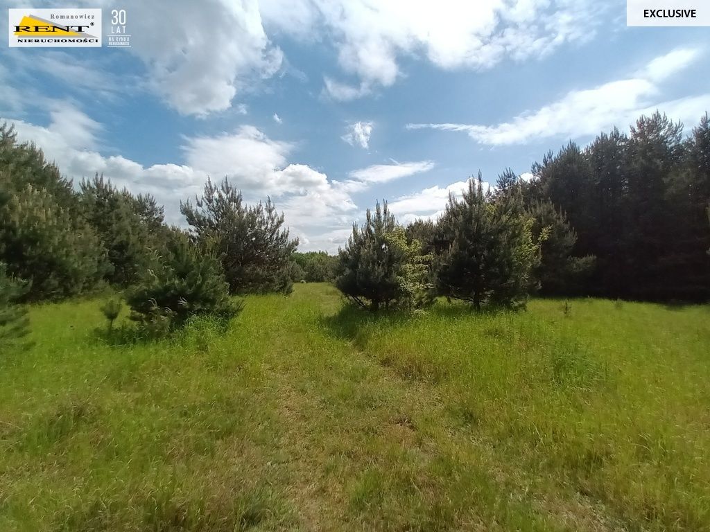 Działka rolna Binowo. Zdjęcie 9
