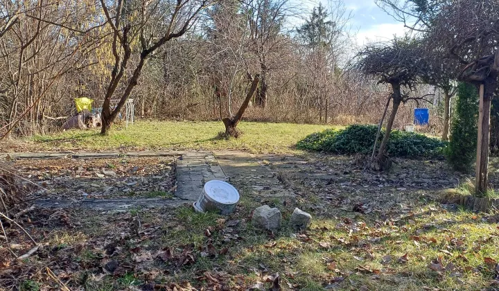 Działka rod Warszawa Ochota