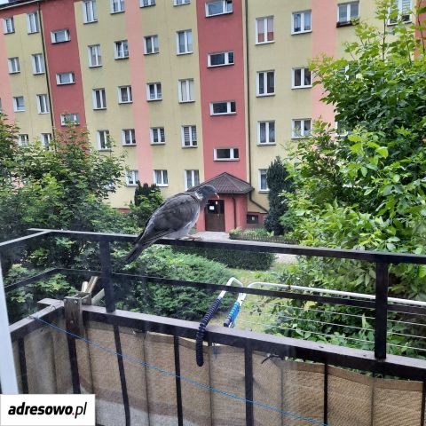 Mieszkanie 3-pokojowe Żuromin, ul. Szkolna. Zdjęcie 1