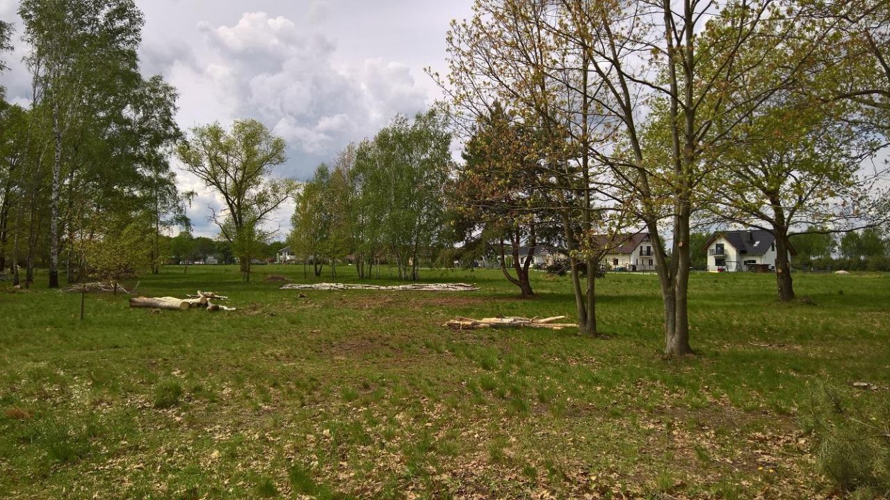 Działka budowlana Gronów, ul. Spacerowa. Zdjęcie 5