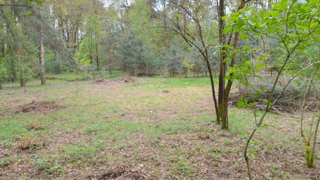 Działka budowlana Zofiówka, ul. Cmentarna. Zdjęcie 27