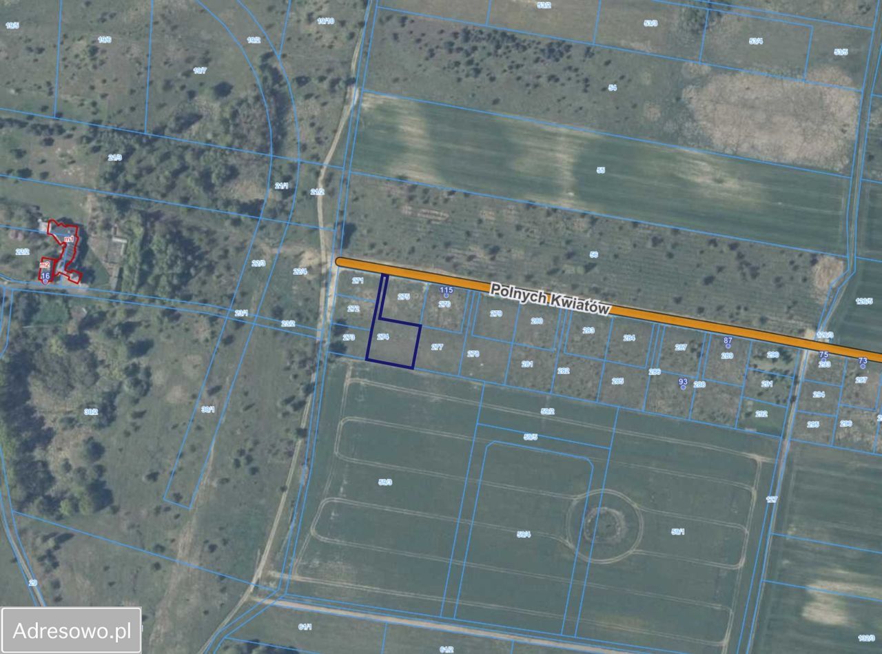 Działka rolna Wąwelnica, ul. Polnych Kwiatów. Zdjęcie 3