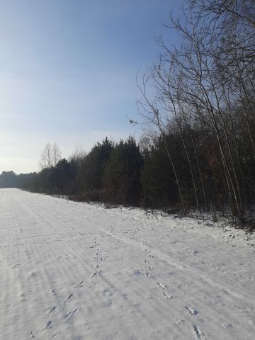 Działka rolna Długie. Zdjęcie 1