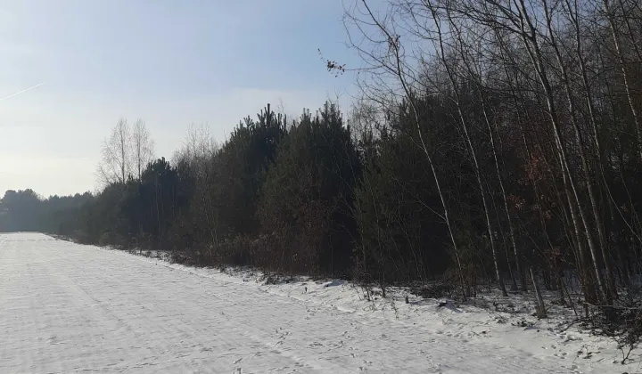 Działka rolna Długie