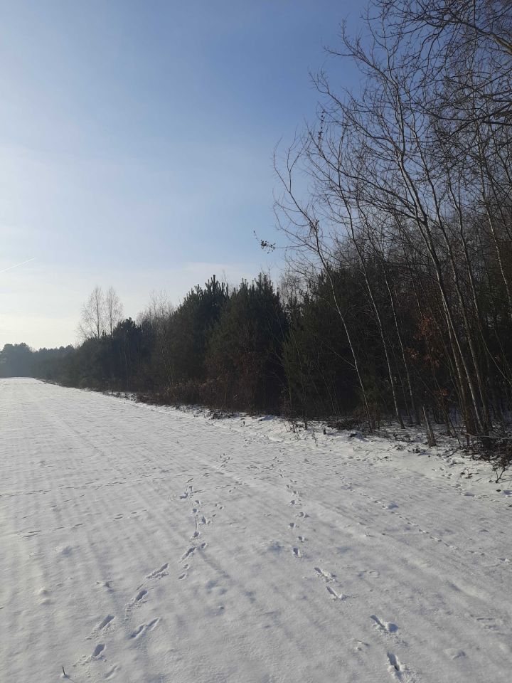 Działka rolna Długie. Zdjęcie 1