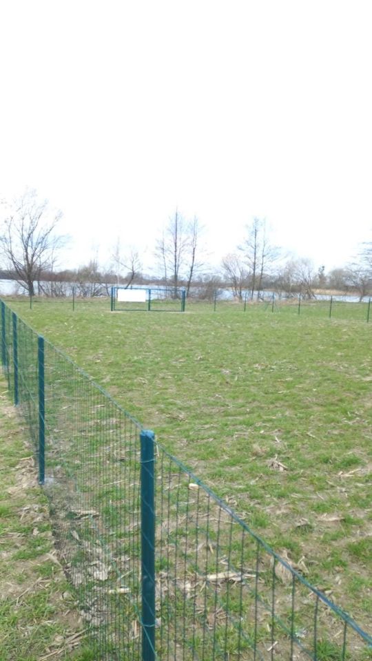 Działka rekreacyjna Kantorowice. Zdjęcie 7