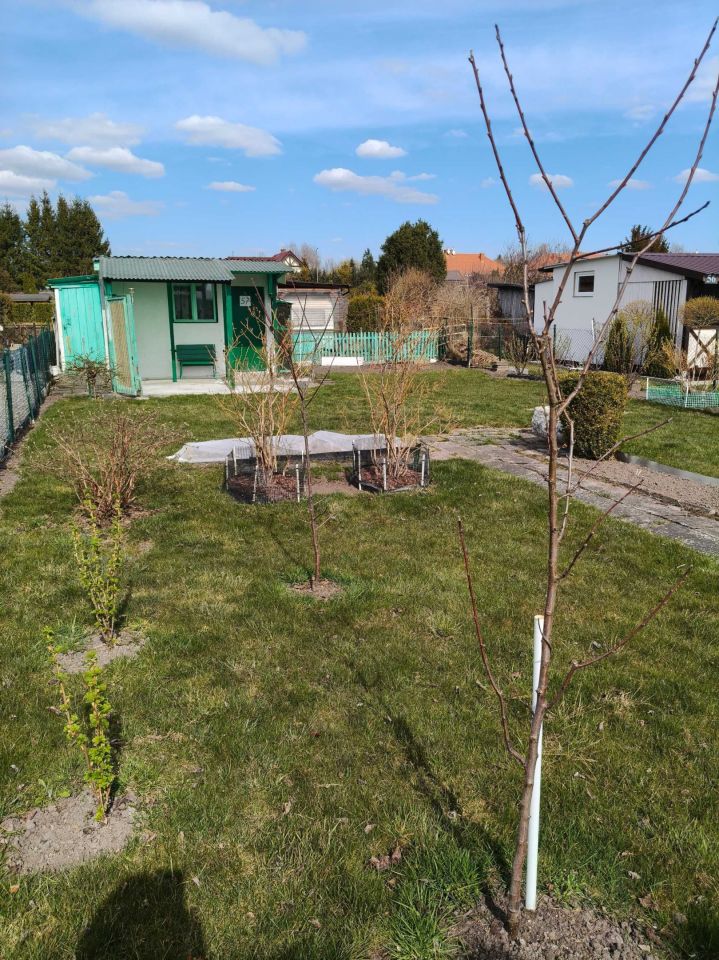 Działka rod Niekłonice. Zdjęcie 5