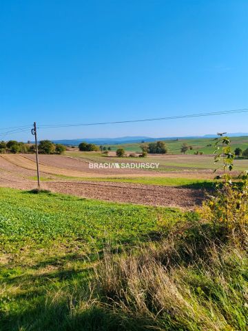 Działka rolno-budowlana Brzezie. Zdjęcie 9