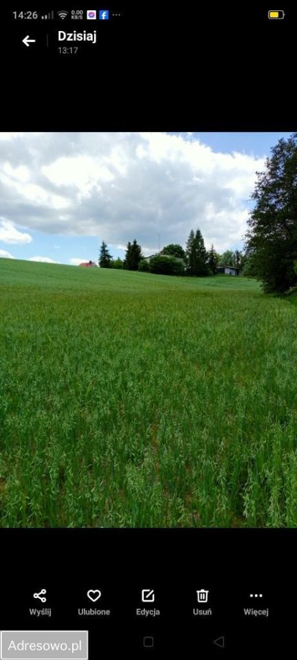 Działka rolna Koniecwałd. Zdjęcie 2