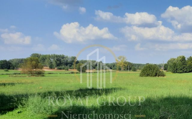 Działka rolna Rudno. Zdjęcie 8