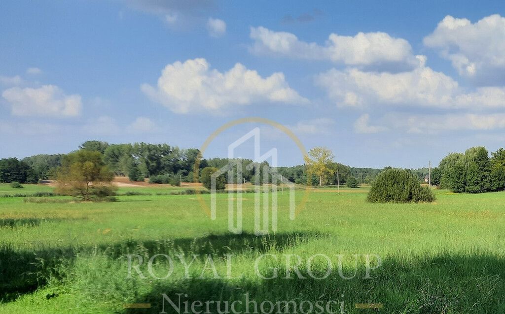 Działka rolna Rudno. Zdjęcie 8