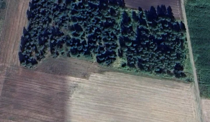 Działka rolna Drużykowa