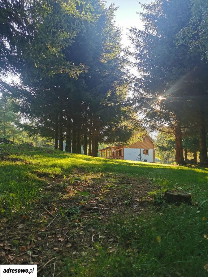 dom wolnostojący, 3 pokoje Bolesławów. Zdjęcie 13