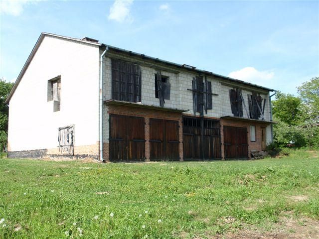 inny Motycz. Zdjęcie 2