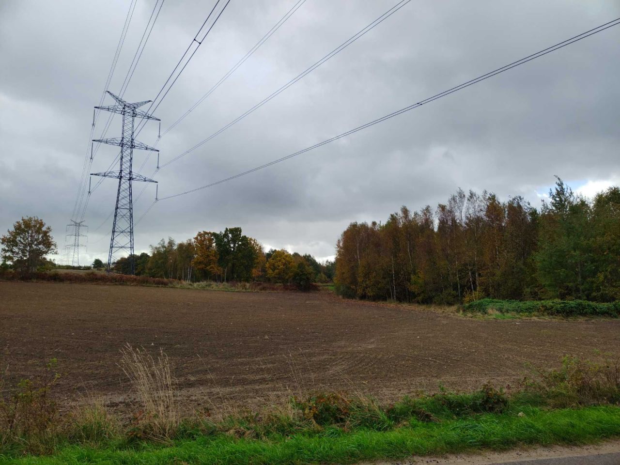 Działka rolna Donimierz. Zdjęcie 8