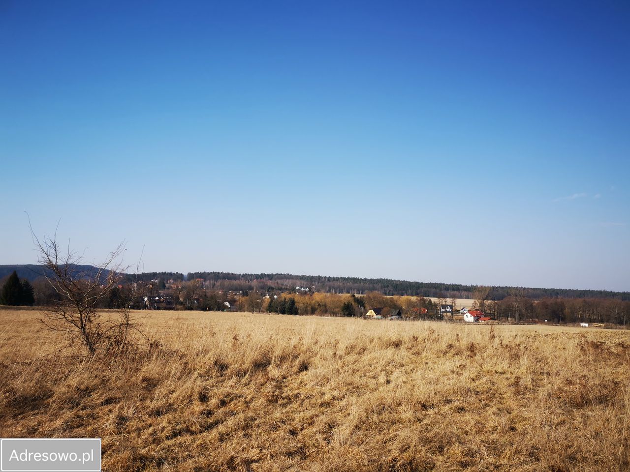 Działka budowlana Stary Wielisław. Zdjęcie 6