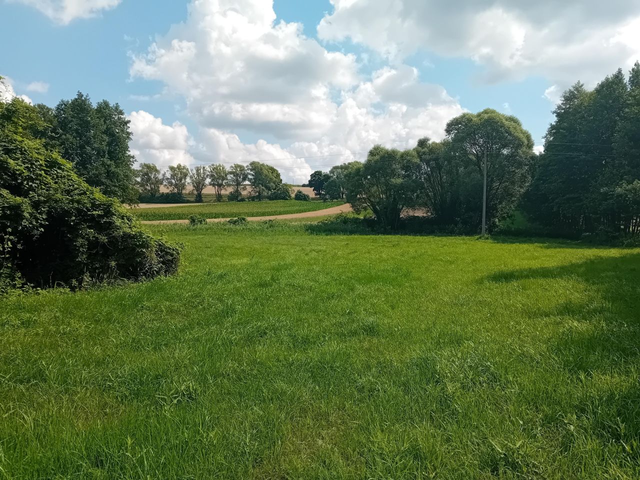 Działka rolna Strzygi. Zdjęcie 6