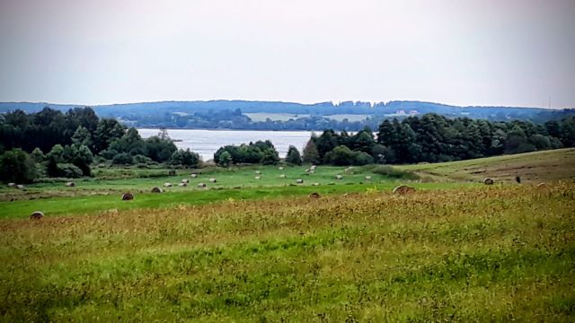 Działka rolna Żardeniki. Zdjęcie 1