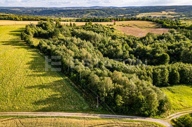 Działka rolna Nowy Borek. Zdjęcie 2