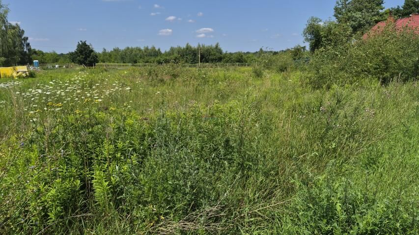 Działka budowlana Prażmów. Zdjęcie 2