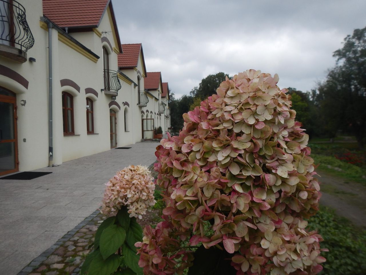 Hotel/pensjonat Gorzyca. Zdjęcie 3