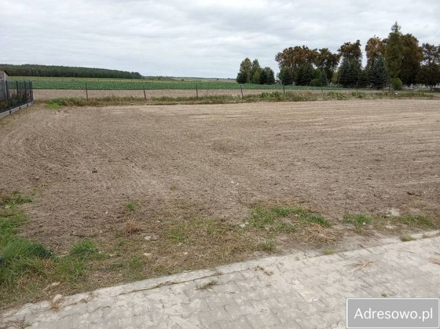Działka budowlana Siennica Różana. Zdjęcie 1