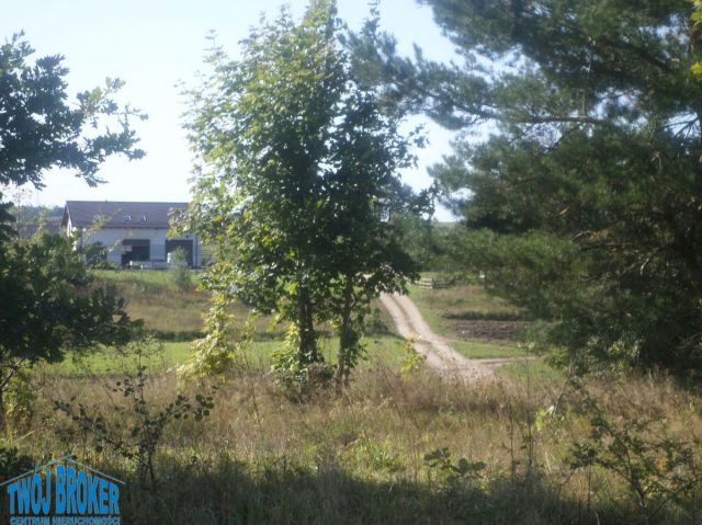 Działka budowlana Tągowie. Zdjęcie 14